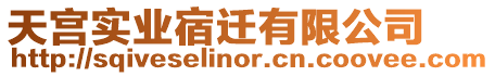 天宮實業(yè)宿遷有限公司