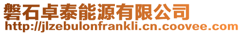 磐石卓泰能源有限公司