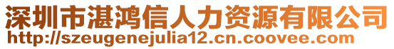 深圳市湛鴻信人力資源有限公司