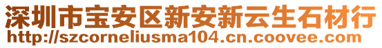 深圳市寶安區(qū)新安新云生石材行
