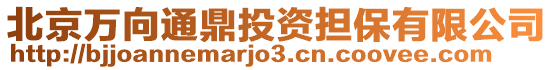 北京萬向通鼎投資擔(dān)保有限公司