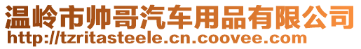 溫嶺市帥哥汽車用品有限公司