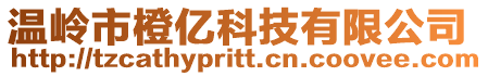 溫嶺市橙億科技有限公司