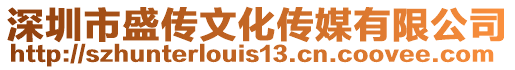 深圳市盛傳文化傳媒有限公司