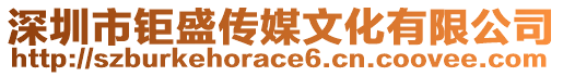 深圳市鉅盛傳媒文化有限公司