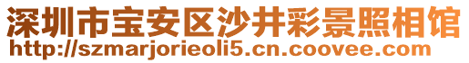 深圳市寶安區(qū)沙井彩景照相館