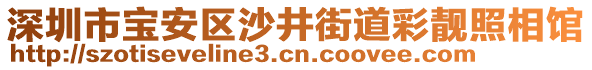 深圳市寶安區(qū)沙井街道彩靚照相館