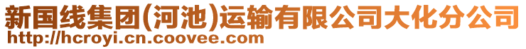 新国线集团(河池)运输有限公司大化分公司