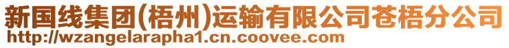 新國(guó)線集團(tuán)(梧州)運(yùn)輸有限公司蒼梧分公司