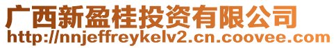 广西新盈桂投资有限公司