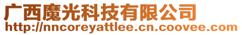 广西魔光科技有限公司