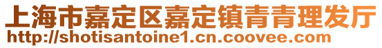 上海市嘉定區(qū)嘉定鎮(zhèn)青青理發(fā)廳