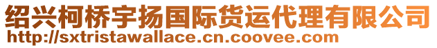 紹興柯橋宇揚(yáng)國(guó)際貨運(yùn)代理有限公司