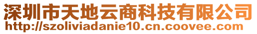 深圳市天地云商科技有限公司