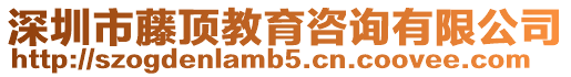 深圳市藤頂教育咨詢有限公司