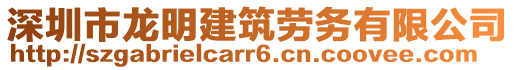 深圳市龍明建筑勞務(wù)有限公司