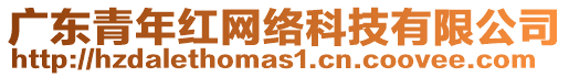 廣東青年紅網(wǎng)絡(luò)科技有限公司