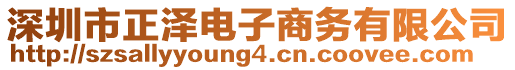 深圳市正澤電子商務有限公司