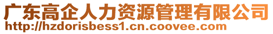 廣東高企人力資源管理有限公司