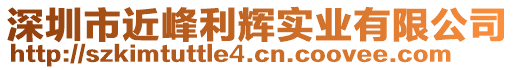 深圳市近峰利輝實(shí)業(yè)有限公司