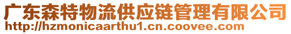 廣東森特物流供應鏈管理有限公司