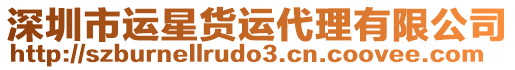 深圳市運(yùn)星貨運(yùn)代理有限公司