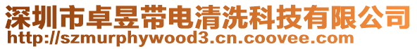 深圳市卓昱帶電清洗科技有限公司