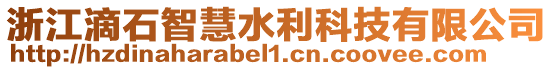 浙江滴石智慧水利科技有限公司