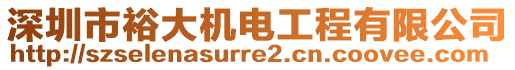 深圳市裕大機(jī)電工程有限公司