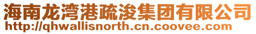 海南龍灣港疏浚集團(tuán)有限公司