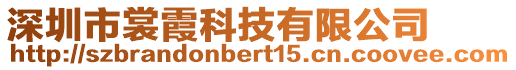 深圳市裳霞科技有限公司