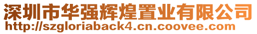 深圳市華強輝煌置業有限公司