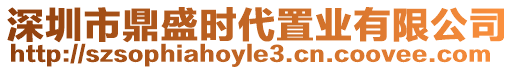 深圳市鼎盛時代置業有限公司