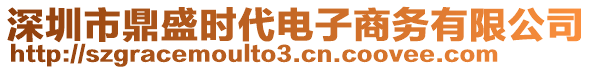 深圳市鼎盛時代電子商務有限公司