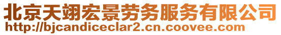 北京天翊宏景勞務(wù)服務(wù)有限公司