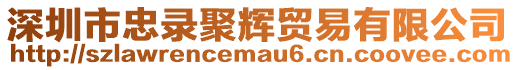 深圳市忠錄聚輝貿(mào)易有限公司