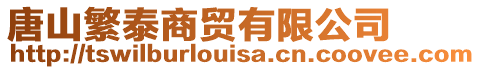 唐山繁泰商貿有限公司