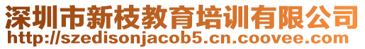 深圳市新枝教育培訓有限公司