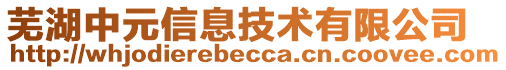 蕪湖中元信息技術(shù)有限公司