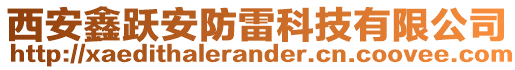 西安鑫躍安防雷科技有限公司