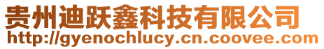 貴州迪躍鑫科技有限公司
