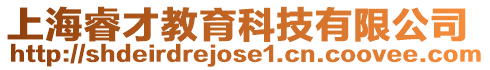 上海睿才教育科技有限公司