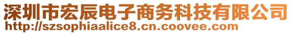 深圳市宏辰電子商務(wù)科技有限公司