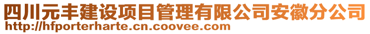 四川元豐建設(shè)項目管理有限公司安徽分公司