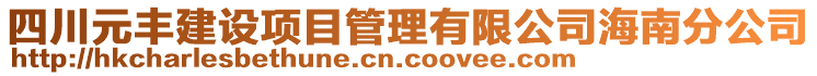 四川元豐建設(shè)項目管理有限公司海南分公司