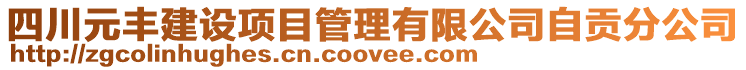 四川元豐建設(shè)項目管理有限公司自貢分公司