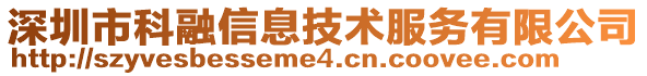 深圳市科融信息技術服務有限公司