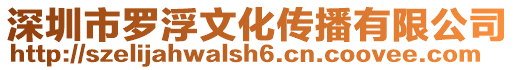 深圳市羅浮文化傳播有限公司