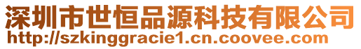 深圳市世恒品源科技有限公司