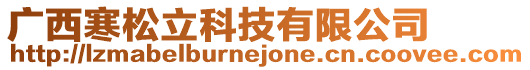 廣西寒松立科技有限公司